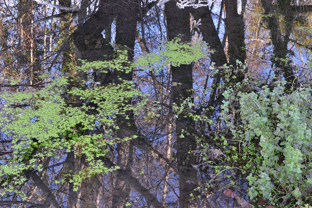 Photographie : Hélène Coutrot-Moulonguet